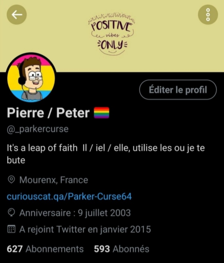 Capture d'écran du profile Twitter de @_parkecurse, prise le 28/11/2020. Nom d'utilisateur : "Pierre / Peter (+ emoji du drapeau gay)". Texte de la biographie : "It's a leap of faith Il / iel / elle, utilise les ou je te bute".