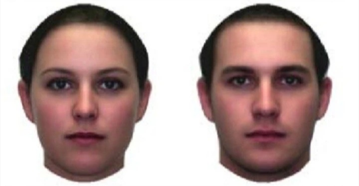 Deux visages photoréalistes quasiment identiques. Ils présentent un dimorphisme sexuel qui les fait être identifiés comme femme (gauche) et homme (droite).